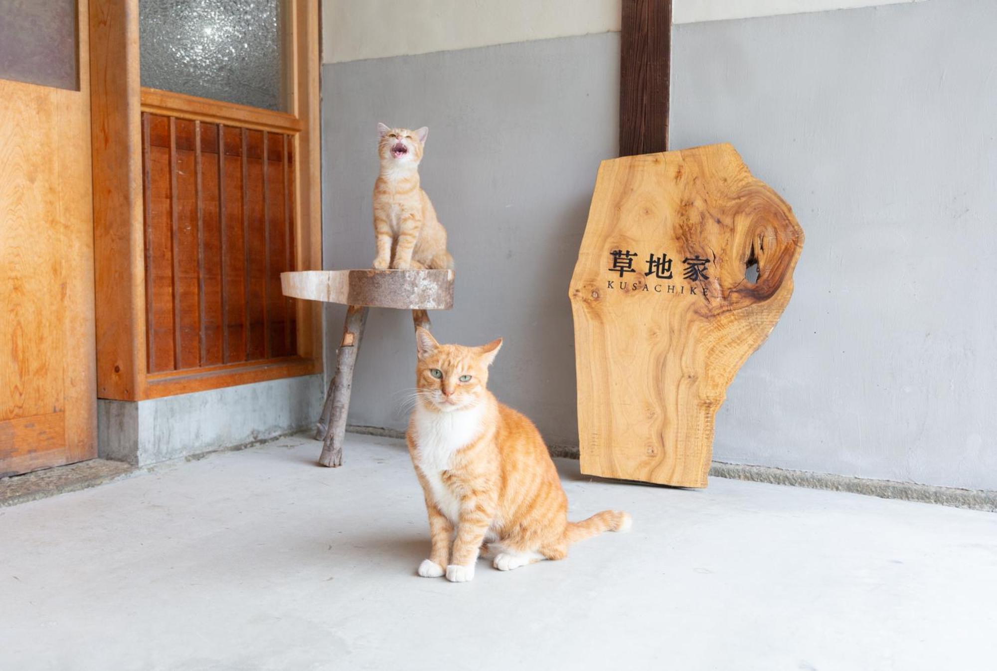 猫と図書館のある宿 草地家 Kusachike Minamiawaji Exterior photo